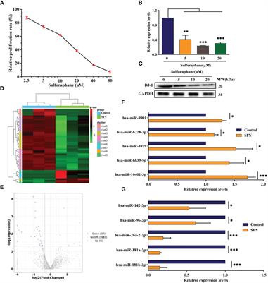 Sulforaphane inhibits the growth of prostate cancer by regulating the microRNA-3919/DJ-1 axis